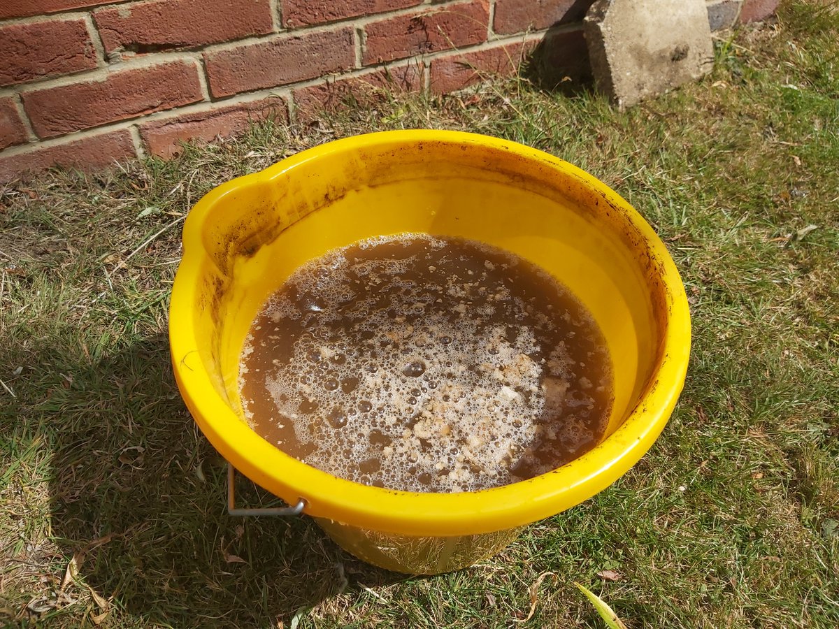 SD_Sykes's tweet photo. Have just brewed this garden fertliser known as #ComfreyTea. It's singularly the most disgusting thing I've ever smelt! I'm imagining the slaughter houses of medieval London in a heatwave... https://t.co/LBN2LwhsHl