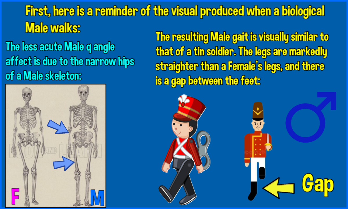 Bevvie112's tweet photo. THIS IS A LIVING THREAD

FTM-TG  requests-only will be posted here

Anthropologists examining remains in a Serbian mass grave had a 100% success rate in bio-sex determination

This will also be the sole criteria used IN THIS THREAD for requested EGI subjects https://t.co/fwE6PdQLYm