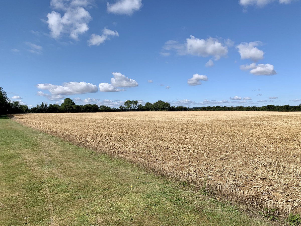 lisajluke's tweet photo. After being poorly with sepsis last year itโs been good to get out running again. Even managed to complete the samarathon last month ๐ will try to keep it up now. The view from my run this morning #sepsis #samarathon #samarathon2020 #samaritans #MentalHealthAwareness #BeKind https://t.co/33t2aDzfXi