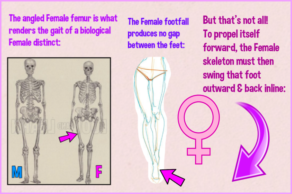 Bevvie112's tweet photo. THIS IS A LIVING THREAD

FTM-TG  requests-only will be posted here

Anthropologists examining remains in a Serbian mass grave had a 100% success rate in bio-sex determination

This will also be the sole criteria used IN THIS THREAD for requested EGI subjects https://t.co/fwE6PdQLYm