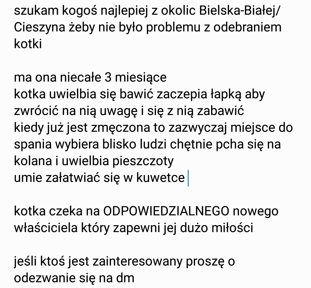 deryname's tweet photo. 🚨NIE PRZEWIJAJCIE🚨

oddam w dobre ręce kotkę ponieważ mój kot jej nie toleruje więc szukam dla niej lepszego domu w którym będzie się czuć bezpiecznie (więcej info na zdj) 

🚨prosiłabym o rt🚨 https://t.co/i00eSvOSzV