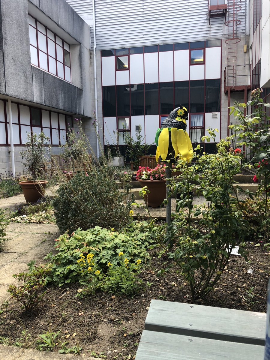 sammurray1000's tweet photo. Sunday working isnβt so bad when you get to share your lunch break with Orlando in the sunny Pharmacy Garden. #teamrbch #rbchteampharmacy #sundayshift #fancyowl @atomicjojo @RBCH_NHS https://t.co/tg3xpE11DQ