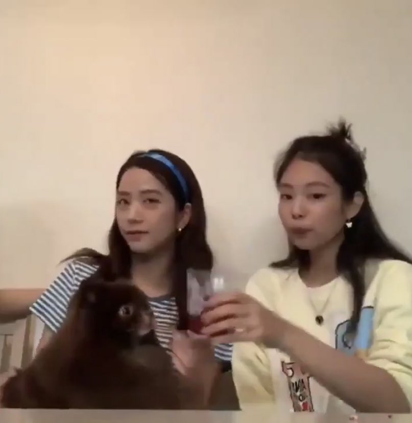 blackpink unfortunate events (@bpunfortunate) on Twitter photo 