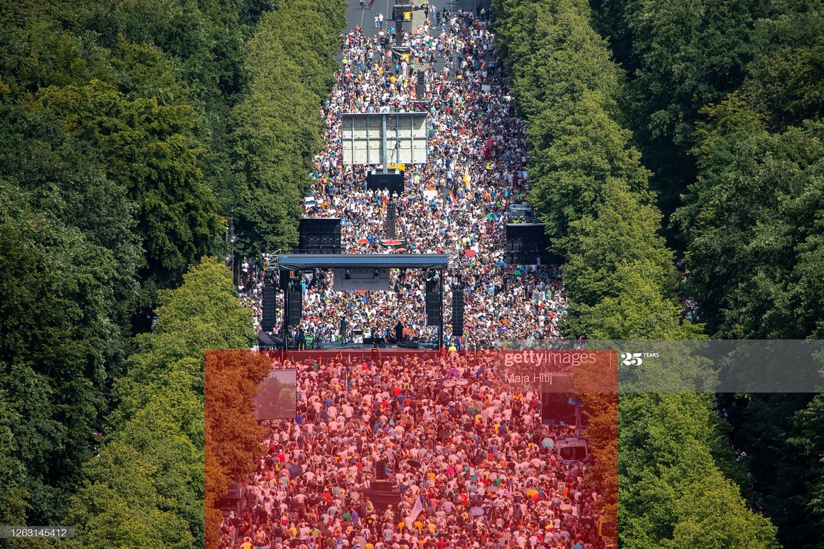 Na dann Schritt für Schritt, der Versuch ein halbwegs belastbaren Zählung.

Ansatz:
Händische Zählung eines gut aufgelösten und somit gut zählbaren, sowie gut gefüllten Teilbereiches via Software "Fiji". "Hochrechnen" auf die Fläche. Visualisiserung.

Ausschnitt (rot)

>>>