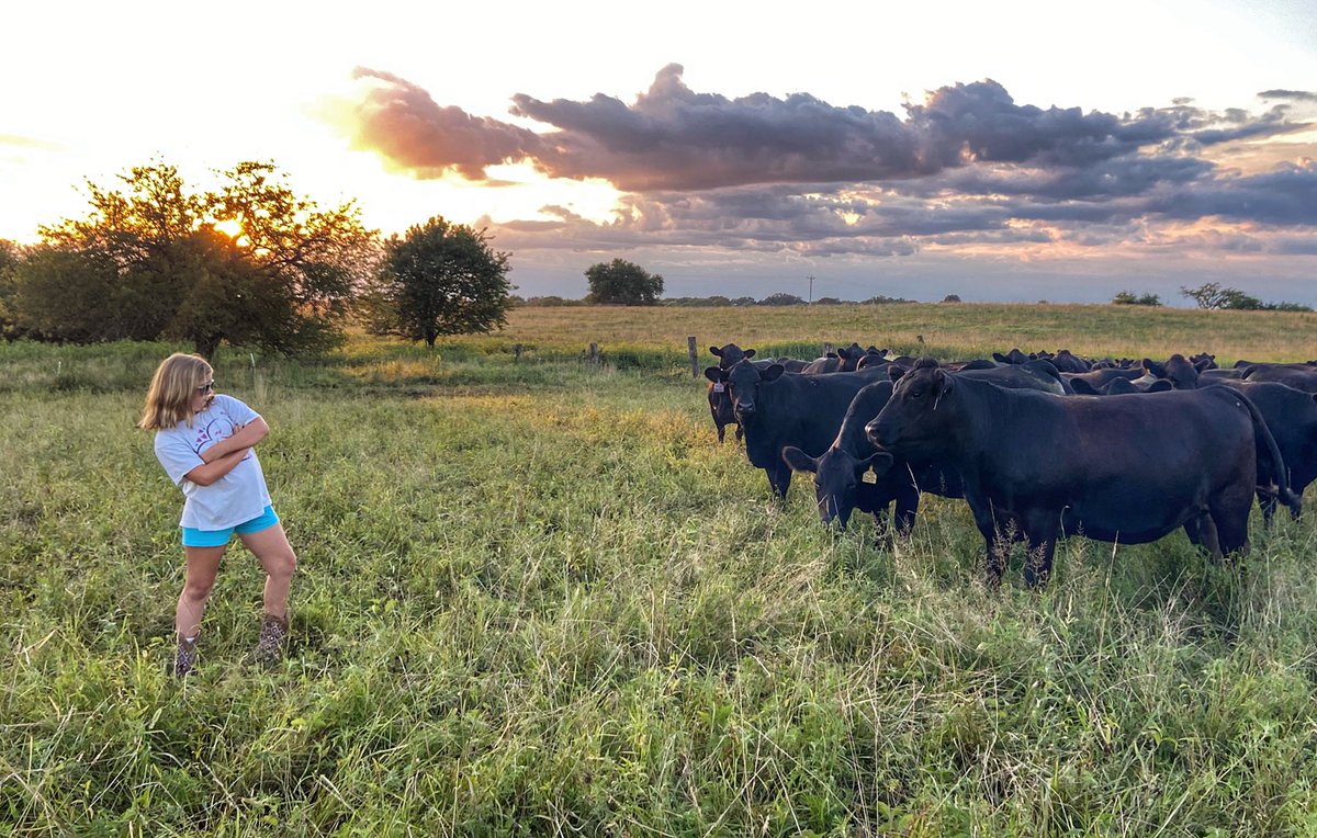 jaredwareham's tweet image. know More = Win More!  There is an easier way to “size up” groups of cattle during the procurement process. Let our Team help you add precision through a third-party “screening” process. #topdollarangus #precisionbeef #verifiedgenetics #knowwhatyourbeefcando