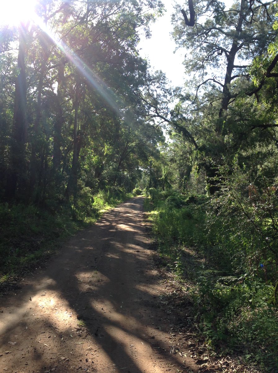 This is the time to ask each other 'What do you need?'
This is the time  to ask ourselves 'What do I have to give?'
 I've some books to post; will zoom on any subject you'd like. If you can pay, okay. If not, it doesn't matter. This is how humanity gets through crises: together.