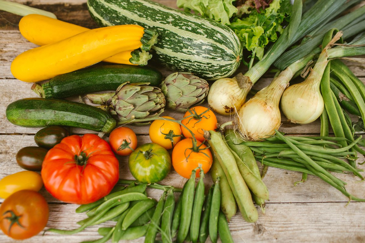 It's an easy time to eat seasonally and sustainably. Our local growers are busy harvesting...

🌱 Organic &amp; biodynamic onions and french beans from Fred at Close Farm, Tetbury (9 miles) 

🌱 No-dig, pesticide free greens from Luke at Crackstone Barns, Minchinhampton (3 miles)