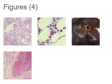 Dr Alfonso J Rodriguez-Morales MD MSc DTM&H HonDSc tweet media