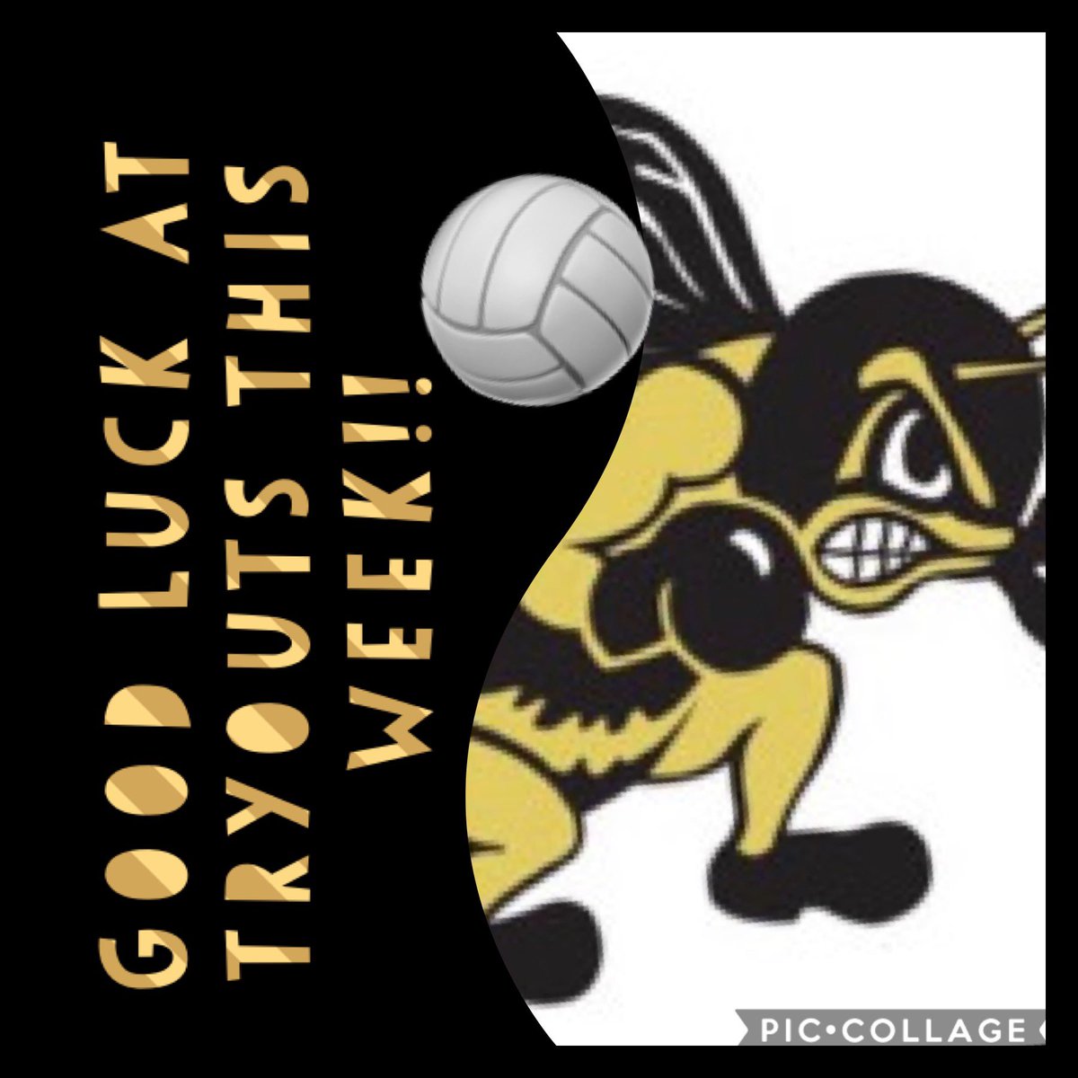 PHSVarsityVball's tweet photo. GO JACKETS! Thankful to be in the gym safely, moving forward! Good luck7th-12th grade student- athletes! Proud of the π work put in this summer to better your game and be the best program around! πππͺπΌ #IWantASeason #GoJackets #PHSVB20 https://t.co/V0HIia7aoM