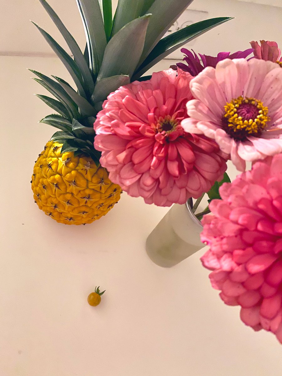 Isaias can’t hurt these!