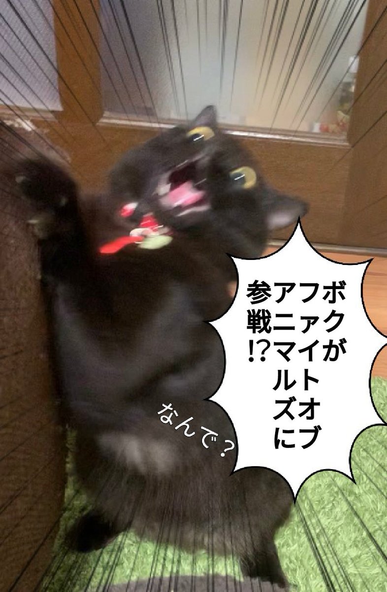 @moyashidayodayo あの屈強な動物の集う祭典から招待状が…!? 