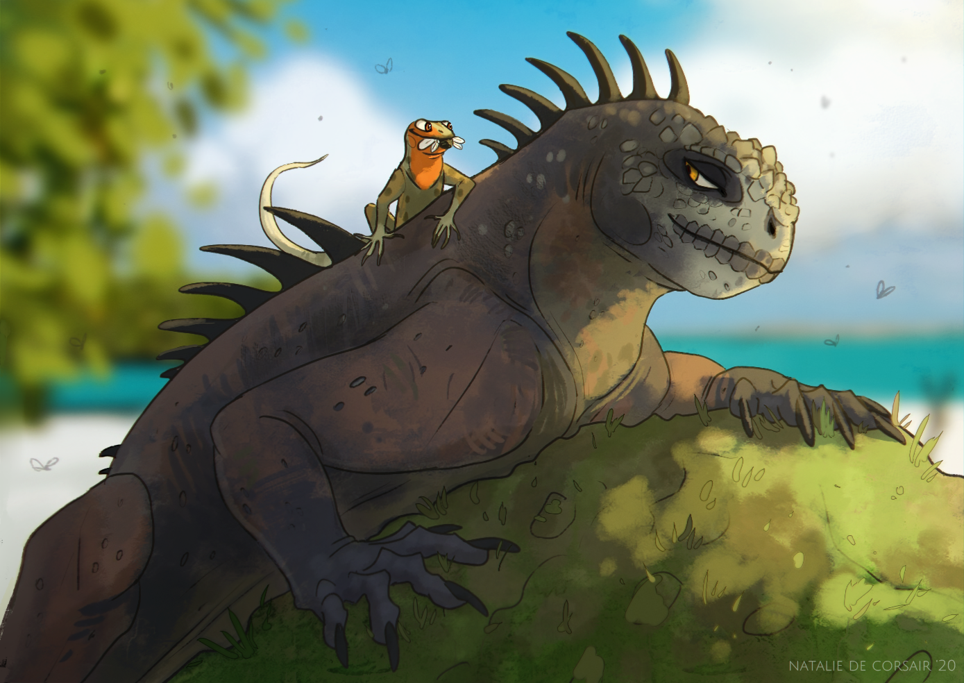 Marine Iguana Drawing
