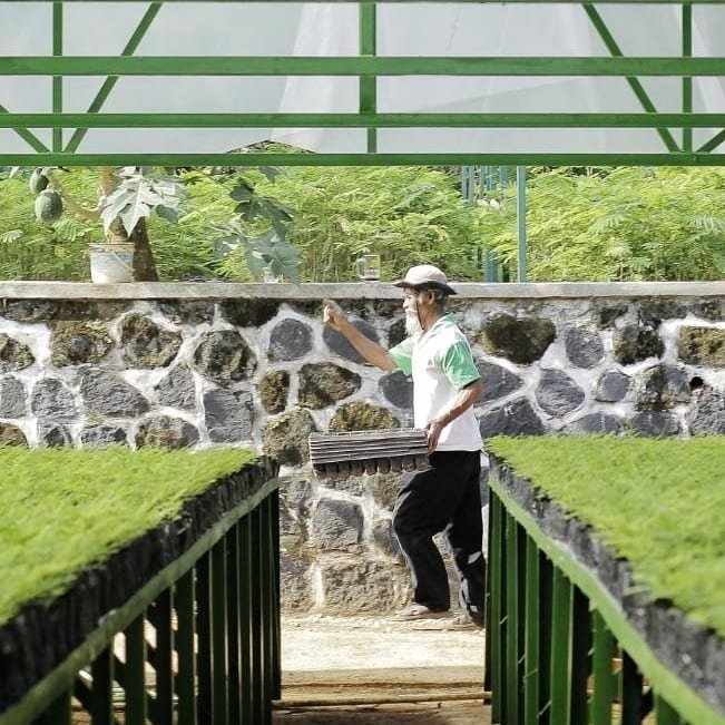 Menyelamatkan Membantu Gerakan Atau Tangan Pegangan Yang Kuat Closeup Dua Tangan Uluran Tangan Seorang Teman Jabat Tangan Lengan Persahabatan Foto Stok Unduh Gambar Sekarang Istock