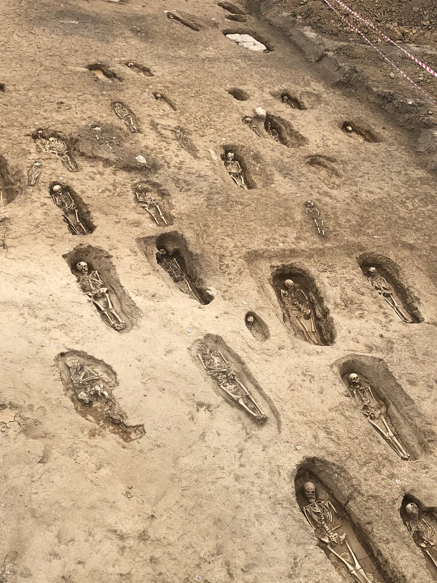 PabloGMancha's tweet photo. Ha aparecido en Grañón esta necrópolis impresionante en las obras de la Autovía del Camino. Se sabía que estaba y dicen las autoridades competentes que la van a cubrir para continuar con la carretera en 15 días. #SOSGRAÑÓN https://t.co/y7Jcj1FJYi