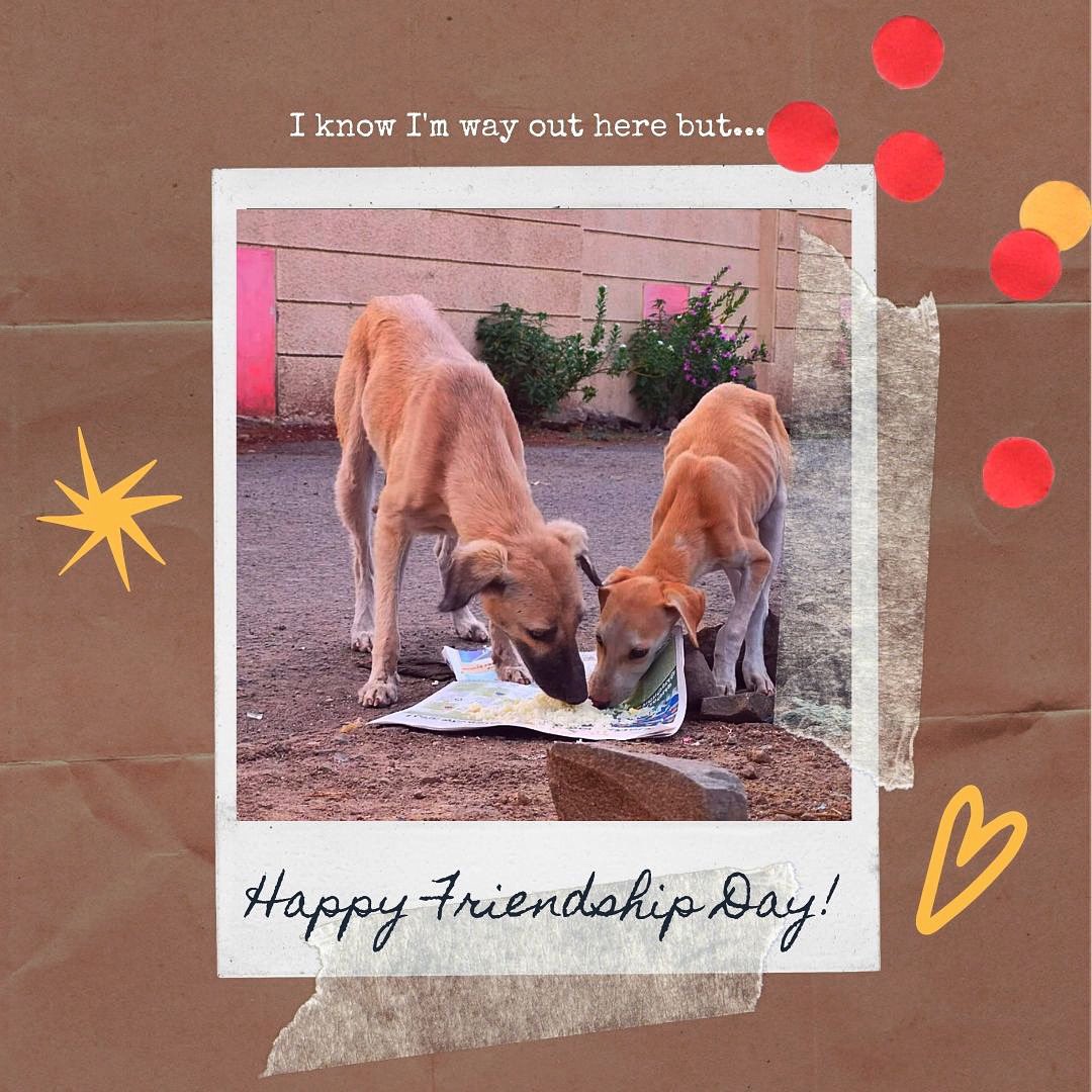 sppaind's tweet photo. A stray dog's #1 super-power is LOVE! They can love you more than anyone else in the world. This #FriendshipDay, let's make sure they have a friend they can count on. (Psst: That's you!)

Share your picture and story of #MansBestFriend with us on our DM. 🐶🐶🐶 https://t.co/BV4rQb4nwJ