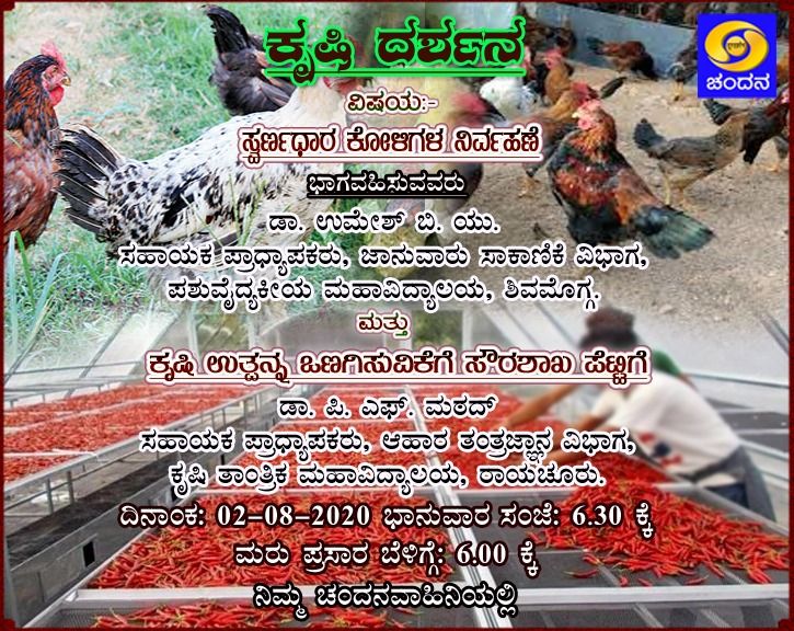 ddchandanabng's tweet photo. Krishidarshana Today(02/08/20) at 6:30PM on DD Chandana..
#Poultry #Farming #drychilli #agriculture https://t.co/aIX4wEMMgx