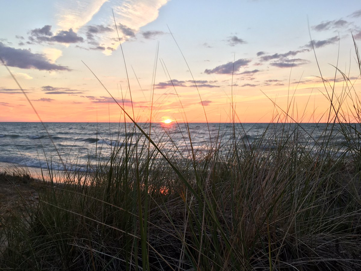 stephen_james_p's tweet photo. What a delightful camping trip @PineryProvPark Pines (White), Oaks (White), sunsets, sand, blue water, sunshine and the joy of being surrounded by nature. #quercusalba #pinusstrobus https://t.co/Exr5nBHJu4