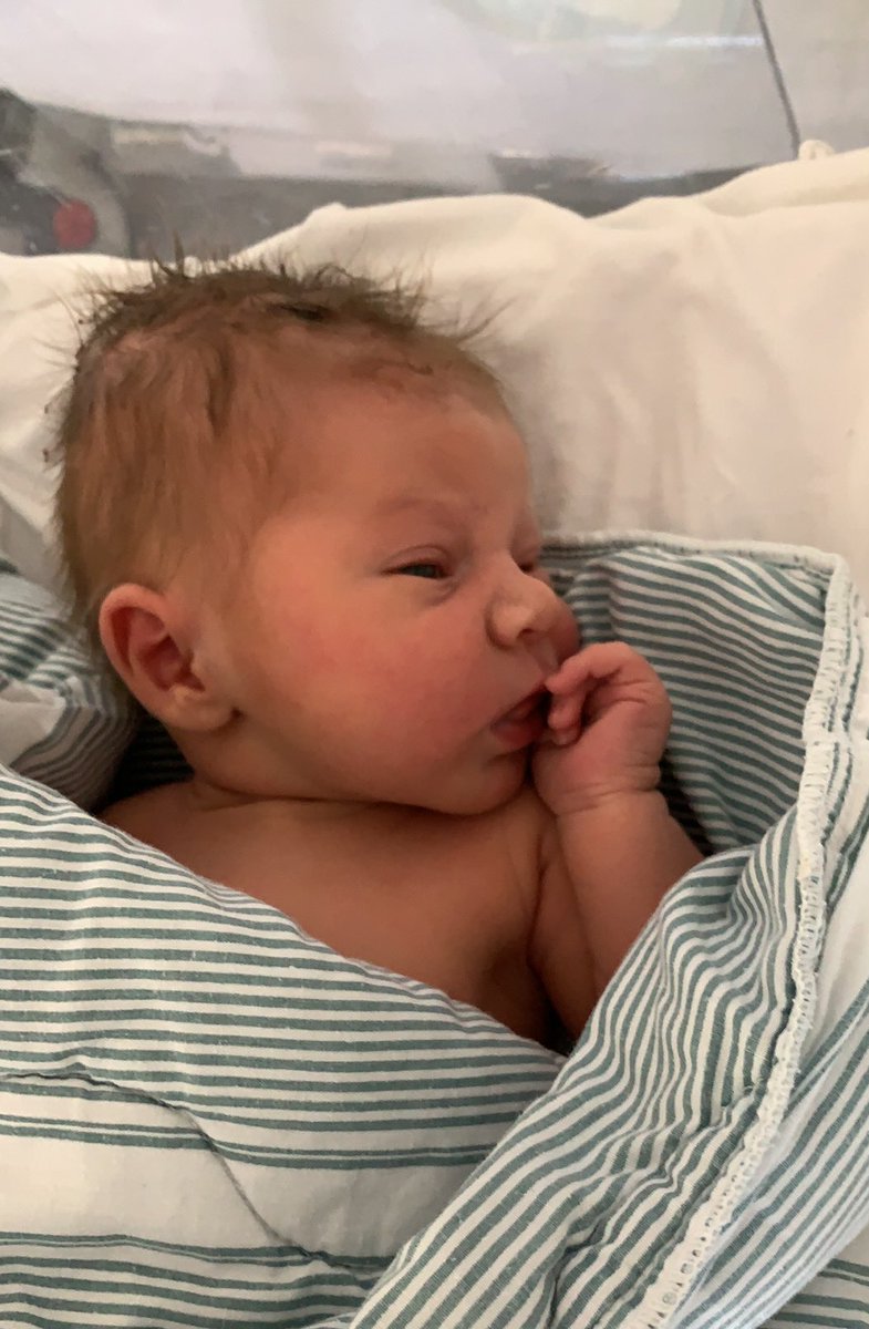 idasoderek's tweet photo. Med namn efter Martins två stora idoler så bär du nu namnet Rolf Harry Söderek. Välkommen till världen, du är det finaste jag någonsin skapat. ❤️ https://t.co/N9g7Rwjw4M