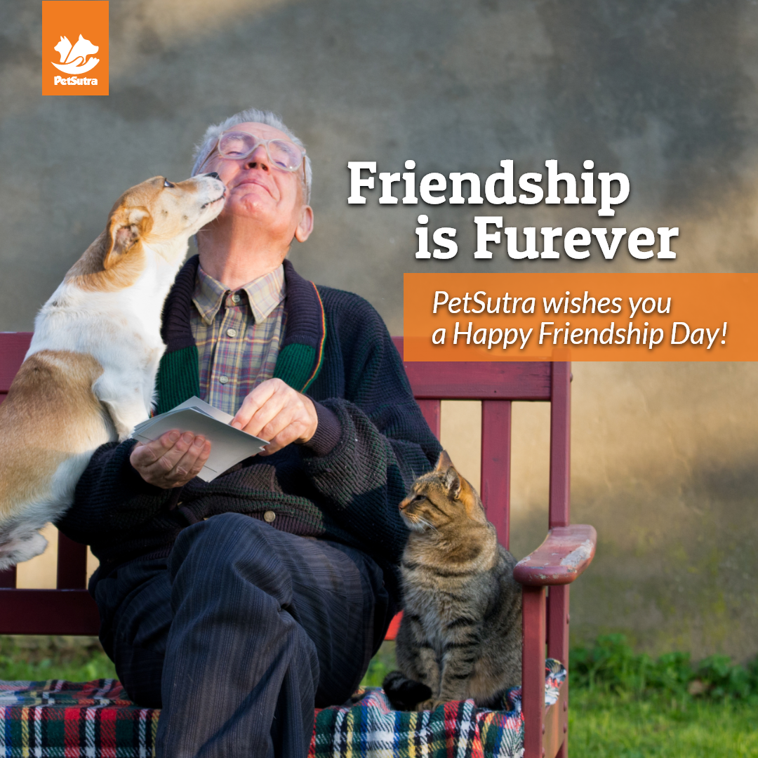 petsutra's tweet photo. Happy Fur-riendship Day! ๐งก๐ถ๐ฑ
#friendshipday #pets #petsutra #thinkpets #thinkpetsutra #bestfriends #happyfriendshipday https://t.co/ovDEbe9GCg