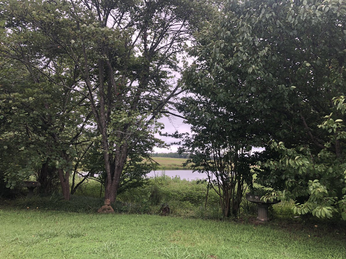 jxn, tn