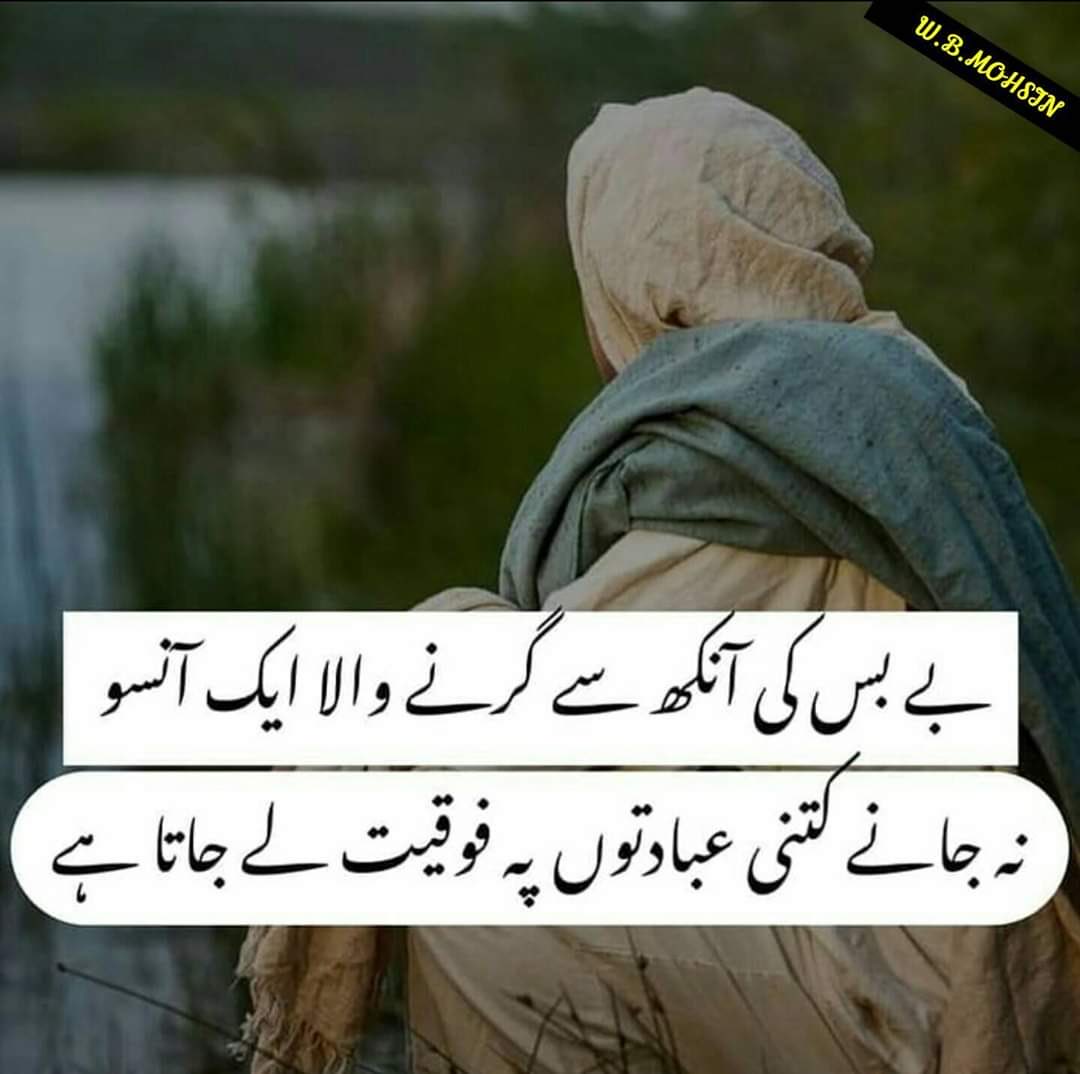 xs2ajk's tweet photo. https://t.co/fMEwF07XG1