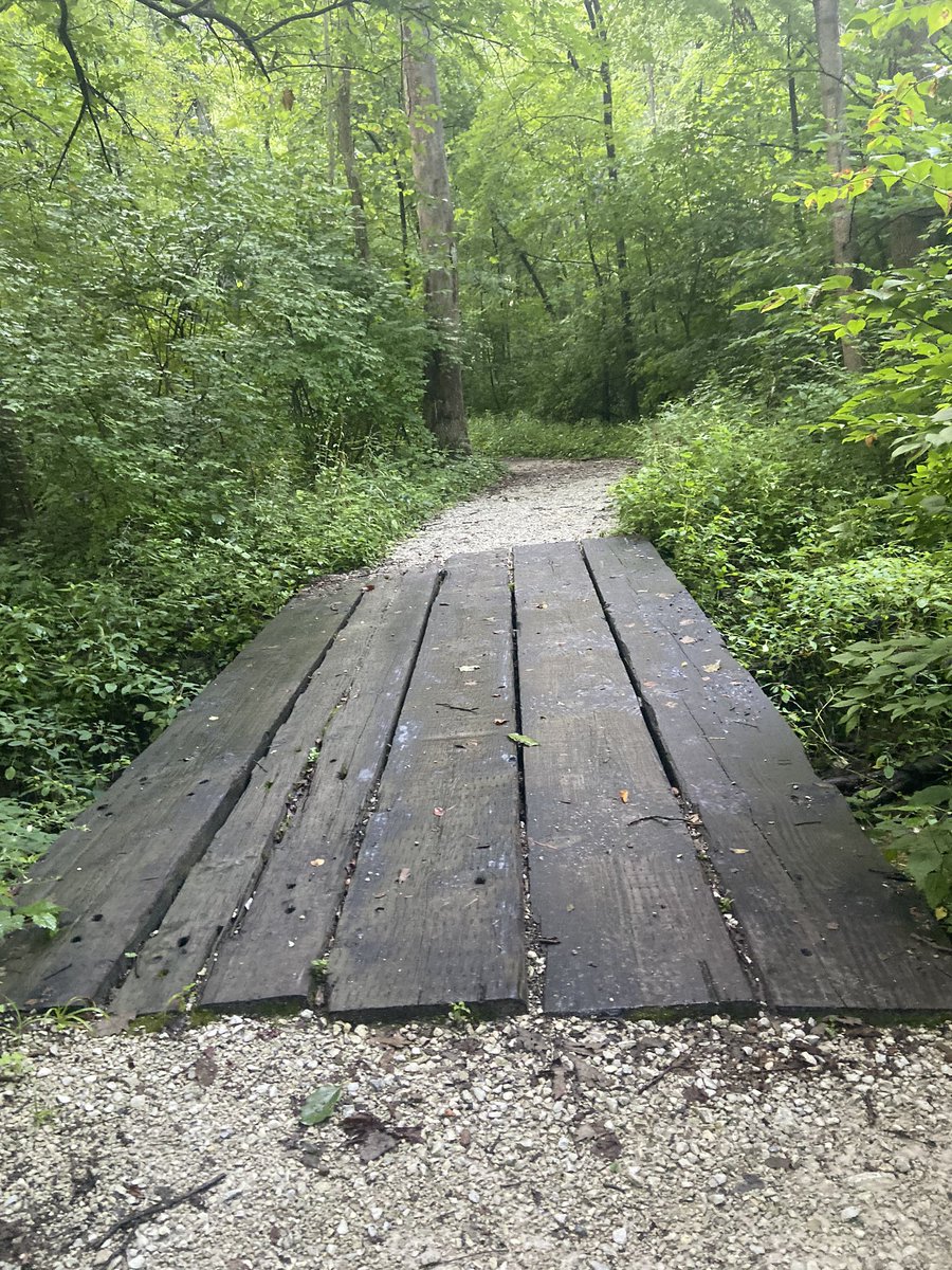 FSURUNNER1's tweet photo. Loving this trail thing 🔥🔥🔥❤️❤️❤️🔥🔥🔥
Stopped a bunch for pictures and some self reflection! Let’s get y’all! Had about 180’ in elevation gain!! Had to use Runkeeper cause I forgot to charge the Garmin
#Grinding
#beatyesterday
#motivated
#runbro
#teammilestogo https://t.co/8WKKqGyjbj