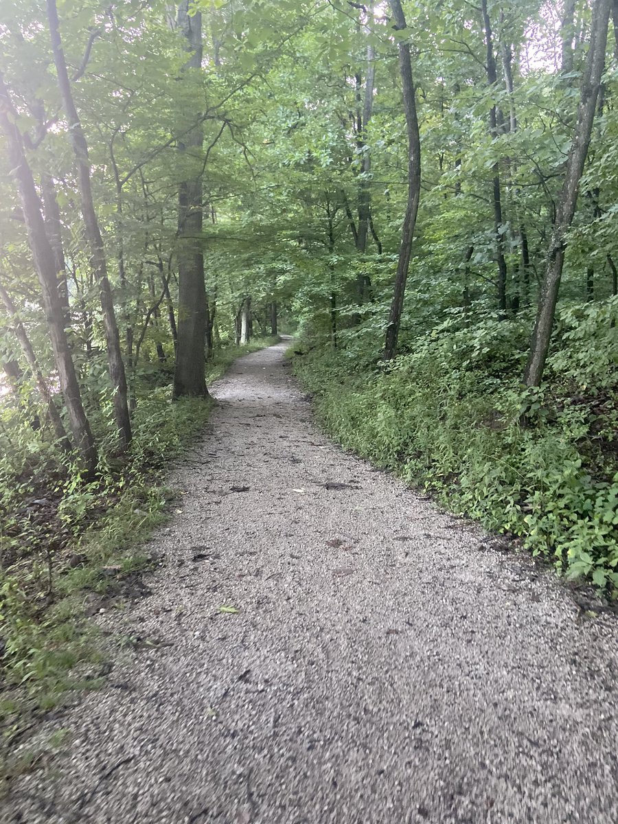 FSURUNNER1's tweet photo. Loving this trail thing 🔥🔥🔥❤️❤️❤️🔥🔥🔥
Stopped a bunch for pictures and some self reflection! Let’s get y’all! Had about 180’ in elevation gain!! Had to use Runkeeper cause I forgot to charge the Garmin
#Grinding
#beatyesterday
#motivated
#runbro
#teammilestogo https://t.co/8WKKqGyjbj
