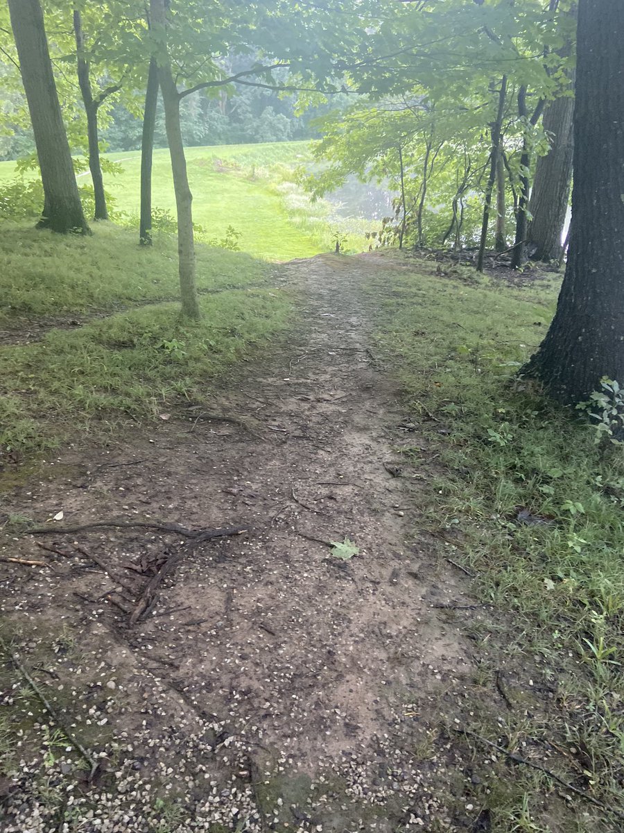 FSURUNNER1's tweet photo. Loving this trail thing 🔥🔥🔥❤️❤️❤️🔥🔥🔥
Stopped a bunch for pictures and some self reflection! Let’s get y’all! Had about 180’ in elevation gain!! Had to use Runkeeper cause I forgot to charge the Garmin
#Grinding
#beatyesterday
#motivated
#runbro
#teammilestogo https://t.co/8WKKqGyjbj