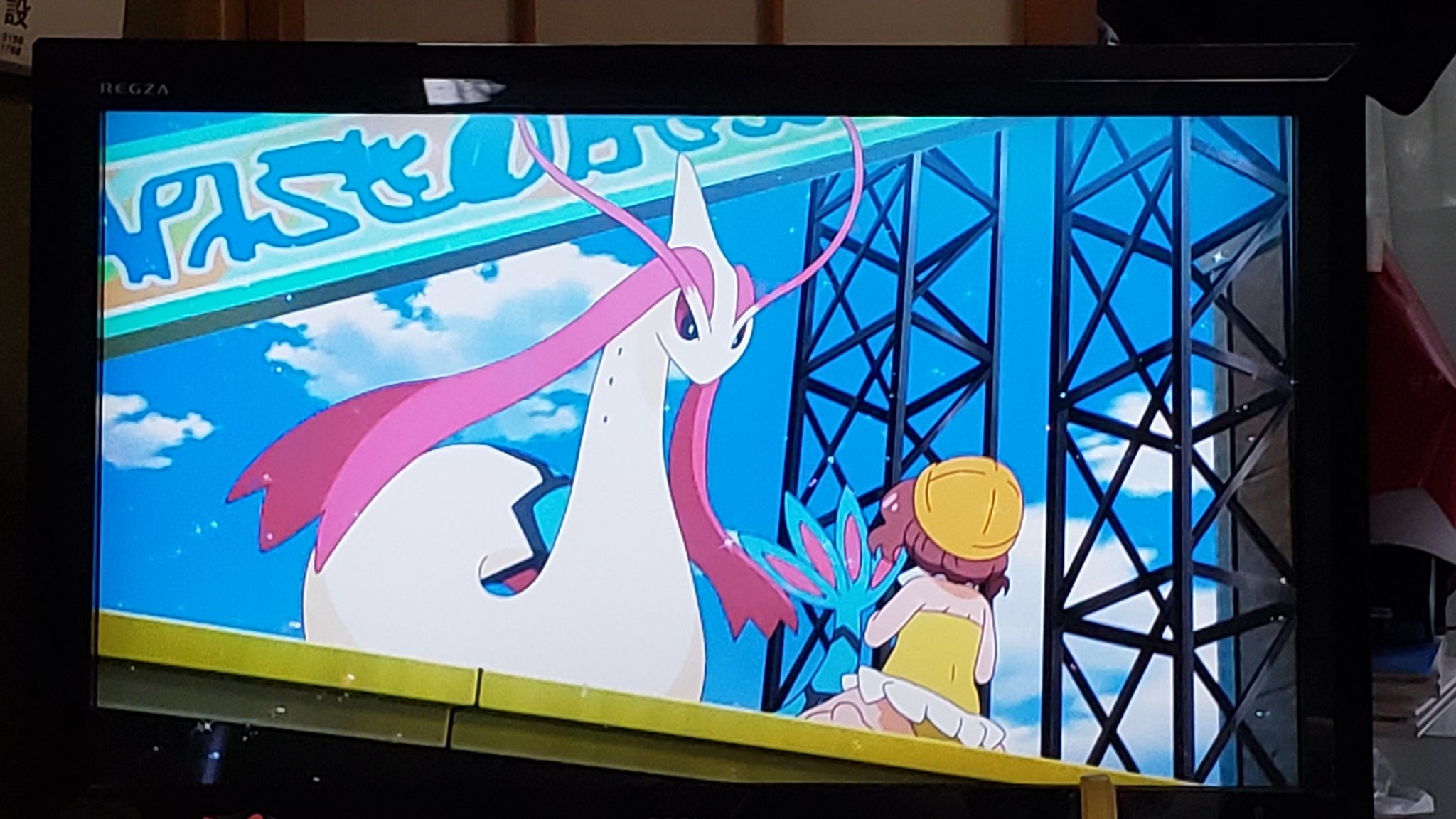 春恵 アニポケ ミロカロス 実は ミロカロスはオスとメスで見た目が若干異なるポケモンです もみあげのようなピンクのヒレが短いのがオス 長いのがメスです 博士が映像で見せたのはメスで ひーちゃんはオス T Co 1dy25jmlxz Twitter