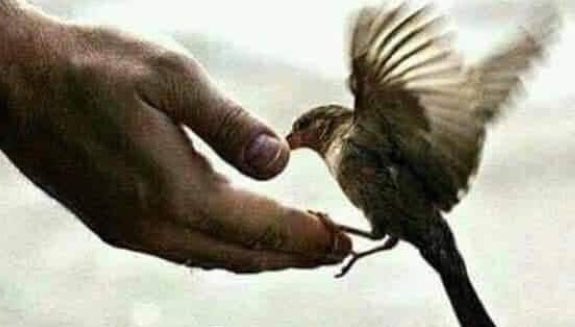 NavnathPandey's tweet photo. Spirituality and religion thickens the brain cortex, reducing one's risk of depression. https://t.co/9UCLTsIabR