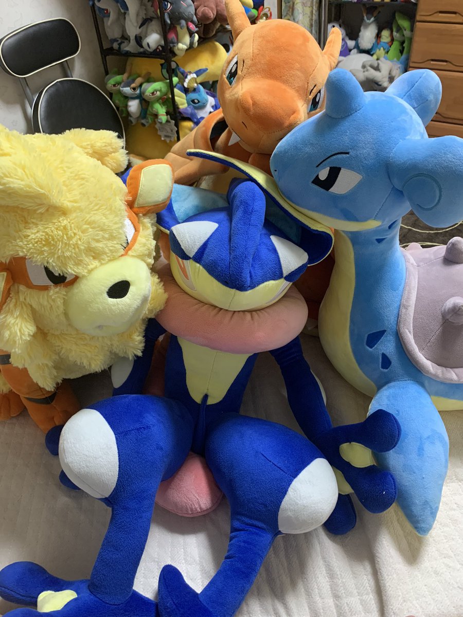 seriusu0913's tweet photo. 明日からの活力としてBigMore!のバンギラスとカイリュー買った!
出先でカイリュー見つけて欲しくなってついポチりました!
ウチにいる子達と一緒に到着を待とうと思います!
#ポケモン
#ぬい撮り
#BigMore https://t.co/xyEWjo2DhH