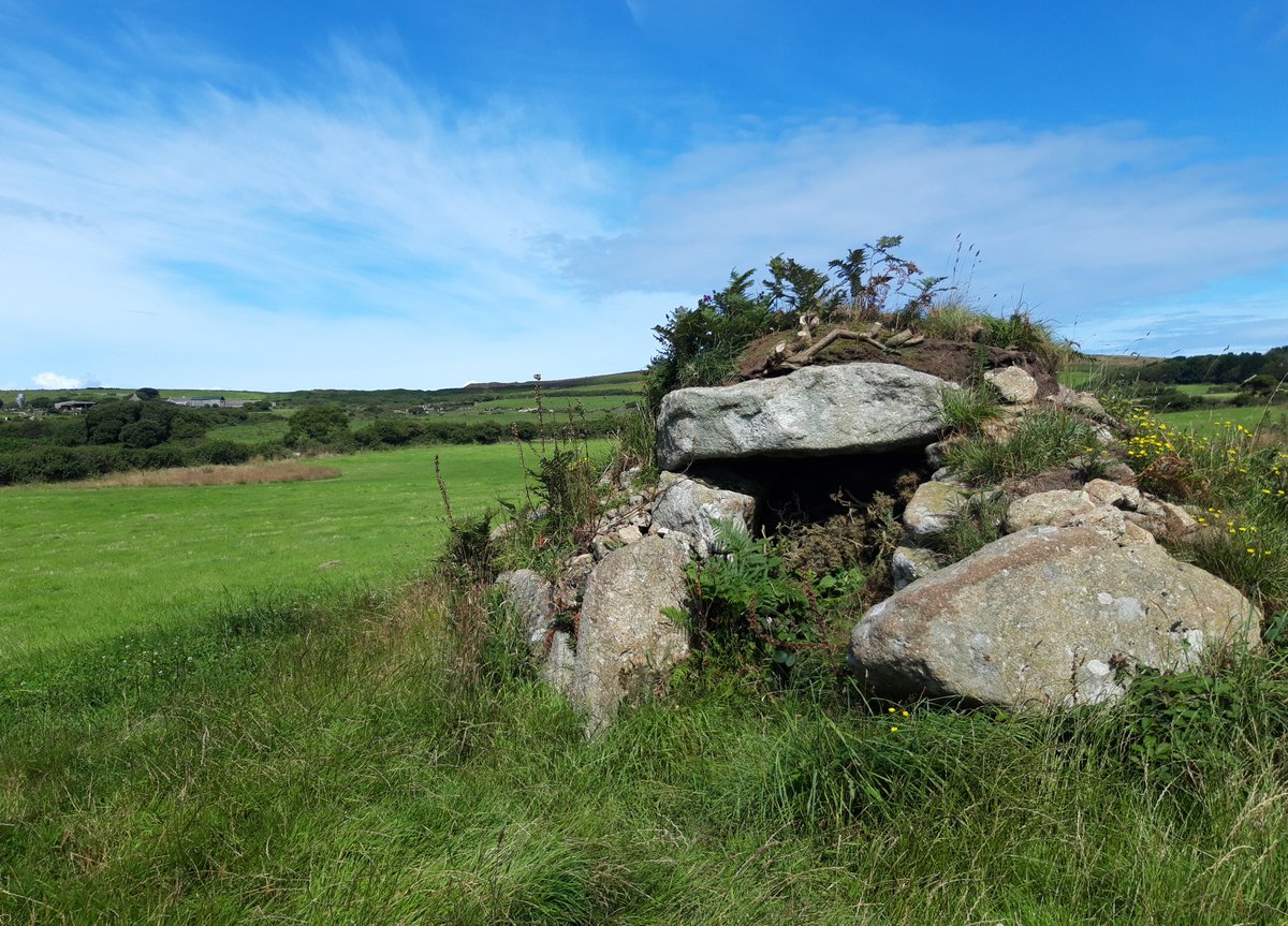 Borlase discovered Brane Entrance Grave in 1863 while investigating nearby Carn Euny. It was being used as a pig shed. "The most perfect of its kind in the West of England" he reckoned & I'm not going to disagree. His drawing attached. #PrehistoryOfPenwith