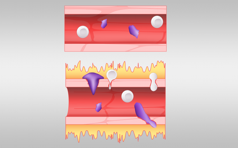 ORNL's tweet photo. A computational gene study suggests new pathway for #COVID19 inflammatory response. 🧬  https://t.co/hmgyZf2crv #NatLabsInTheFight https://t.co/abH7gEDCXa