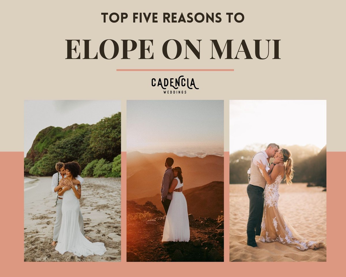 Cadencia's tweet photo. Top 5 Reasons to Elope on Maui! 

#hawaiielopement #mauielopement #mauiphotographer #mauihawaii #mauiwedding 

https://t.co/YB19NH6WCY https://t.co/WE3GLJBTjx