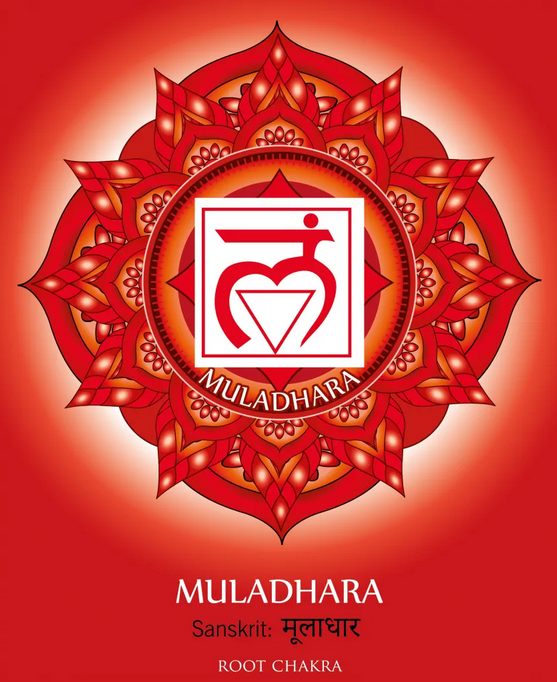 .𝐂𝐡𝐚𝐤𝐫𝐚 𝐁𝐚𝐬𝐞 - 𝐌𝐮̄𝐥𝐚̄𝐝𝐡𝐚̄𝐫𝐚."I AM"Couleur : RougeSens : OdoratMantra : LamSymbole : CarréPlanète : MarsPierre : CorailÉlément : TerreInfluence : Fondements, stabilité, survieImpact de son dysfonctionnement : manque de vitalité, problèmes de santé