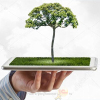 Blog_Programmer tweet picture