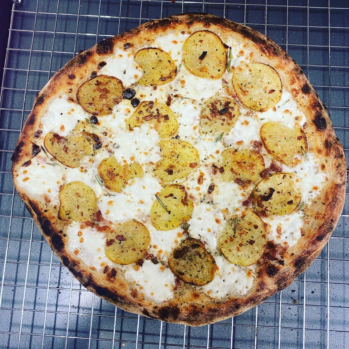 VetMadePizza's tweet photo. Potato bacon pizza with cream sauce, buffalo mozzarella and rosemary https://t.co/vk6gaUhfep