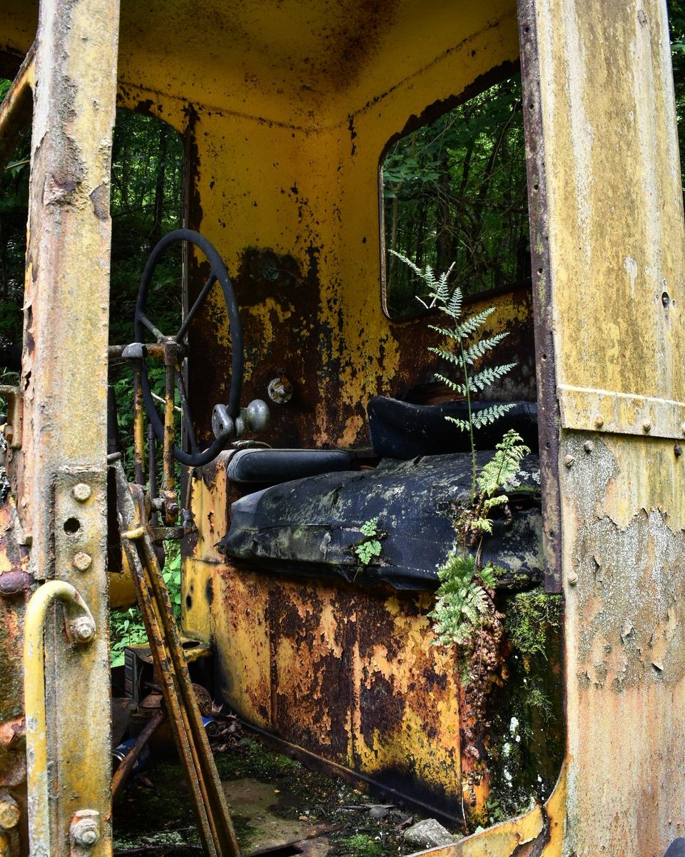 rambleramber1's tweet photo. walking around, taking some pics #abandoned #abandonedtractor #NaturePhotography #nature #mushroom #forestaesthetic #amateurphotography https://t.co/NwAmZ8xmVR