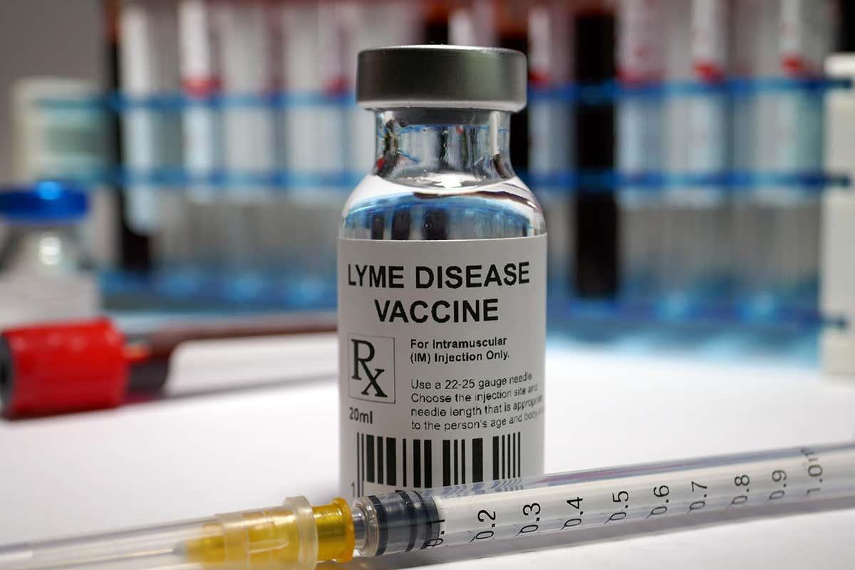 newscientist's tweet photo. A vaccine against Lyme disease could be available by 2025 https://t.co/3O8Cyn2XFA https://t.co/PfzsIQ2vCV