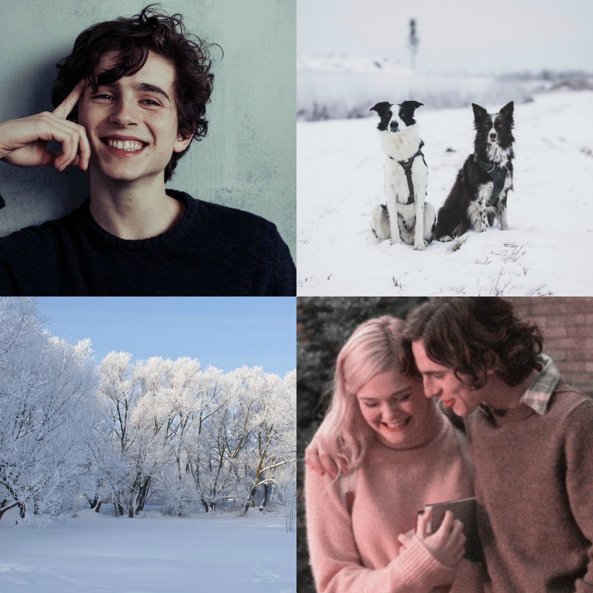 SnowAndDogs's tweet image. ❅ＯＬＩＶＥＲ   ＣＬＯＵＤ❅

➢𝑫𝒐𝒈𝒔 𝒂𝒏𝒅 𝑺𝒏𝒐𝒘
➢C̷l̷o̷u̷d̷9̷
➢𝟷/𝟺 𝙷𝚘𝚝 𝙳𝚘𝚐𝚐𝚎𝚛𝚜
➢S̷n̷o̷w̷b̷o̷a̷r̷d̷ l̷o̷v̷e̷r̷
➢I ᥲꙆຕo⳽t ᑯɩᥱᑯ,I ωoᥒ't tɾყ ᥲɠᥲɩᥒ
➢❝Ꙇ ᥲꙆωᥲყ⳽ ᑲᥱꙆɩᥱʋᥱᑯ ɩᥒ ყoᥙ❞

¿ʀᴛ?ɢʀᴀᴄɪᴀs