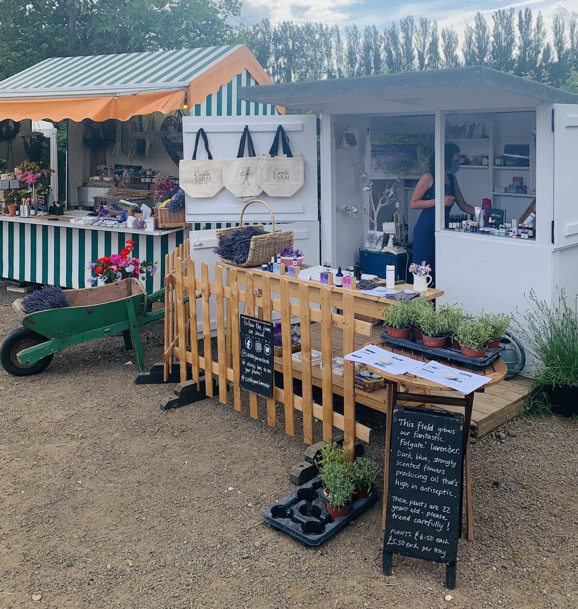 cocoabean77's tweet photo. @CastleFarmKent lovely day out #easylikeSundaymorning https://t.co/IIzkRjG02M