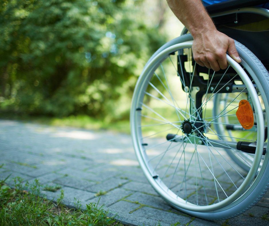 Can A Dog Poop In A Wheelchair