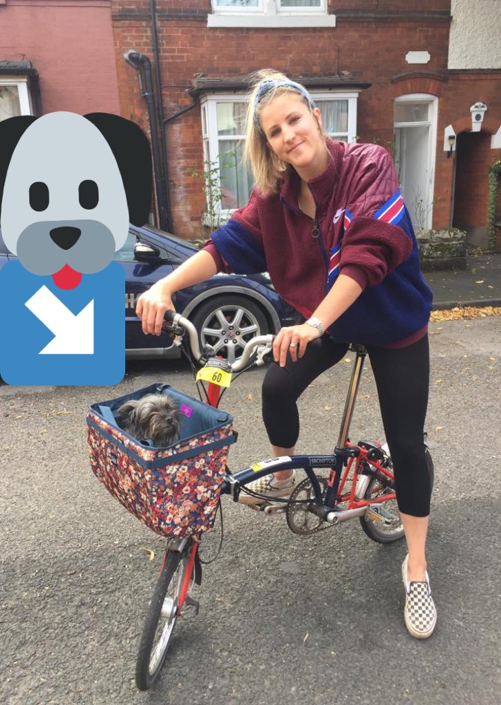 KiriPB23's tweet photo. Incoming members of #TeamAHPs ππΌββοΈ +πΆ #weactivechallenge #WAC201 #teamAHPs #AHPsActive @WeAHPs come on August.. letβs go! https://t.co/yEMEGozQII