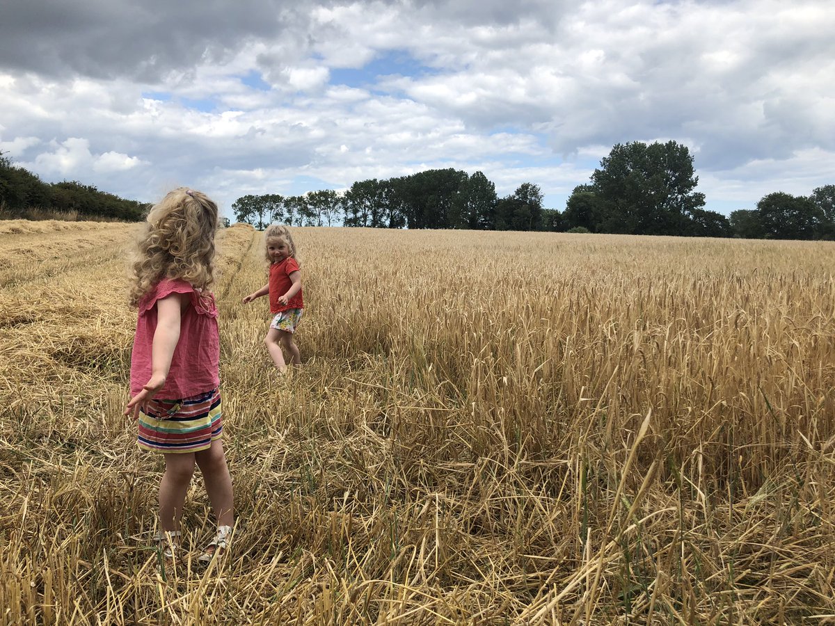 C8linClarke's tweet photo. Our first ever harvest is officially underway! 🌾 #firsttimefarmers #harvest2020 #harvest #barley #minifarmers #twins https://t.co/A4bZa6MMln