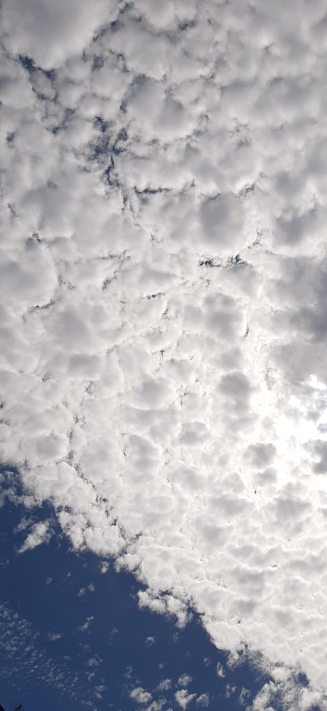 albertvaleroduc's tweet image. ¿Vemos las nubes blancas porque hay un cielo azul?

O... ¿Vemos el cielo azul porque hay nubes blancas?

#perspectiva #reactividad #relatividad