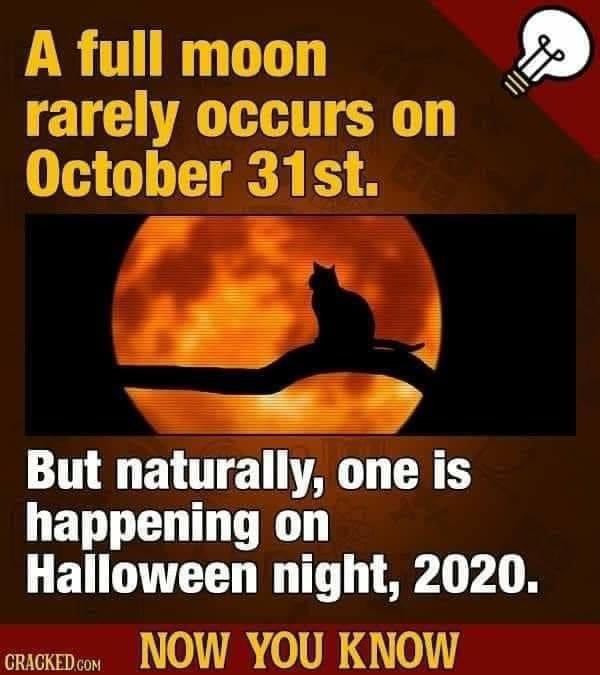 EmilyBlasko's tweet photo. And Daylight Savings Time ends #thatisso2020 https://t.co/5Pqu9KCIh7