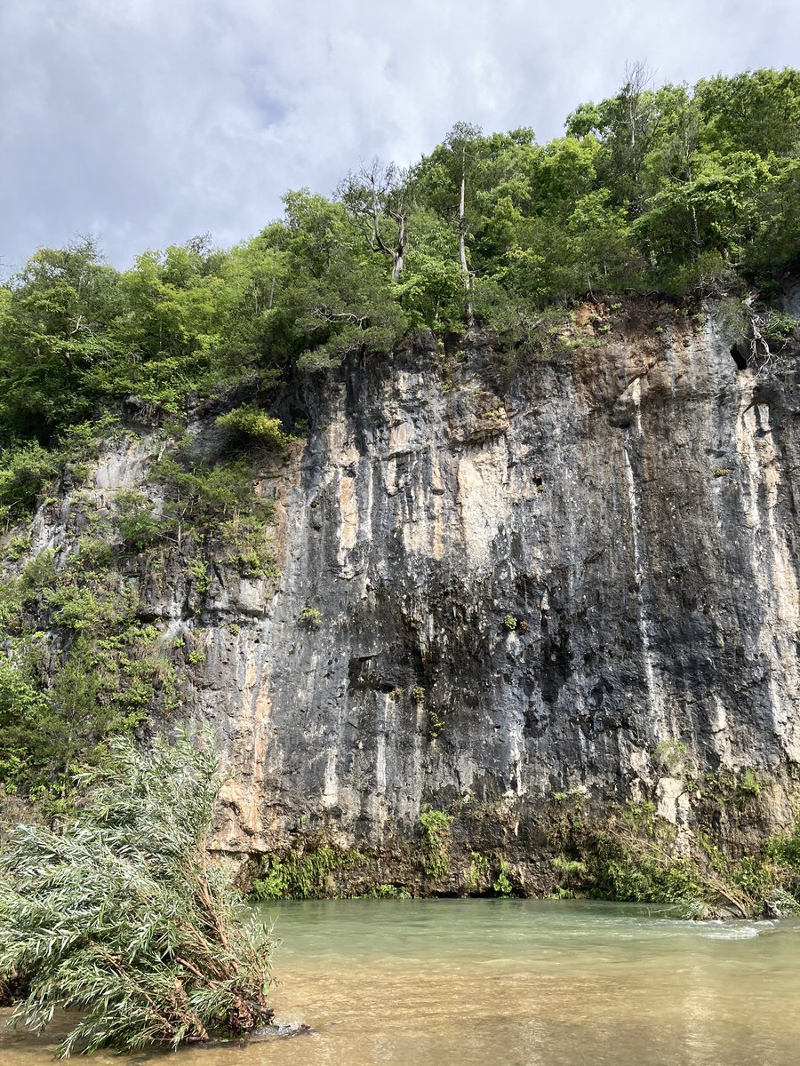 NoahSabich's tweet photo. Midwestern, spring-fed stream heaven #EchoBluff #Missouri #Springs #ozarknationalscenicriverways #ozarkmountains #Water #SDG6 https://t.co/XgG8JB9pZW