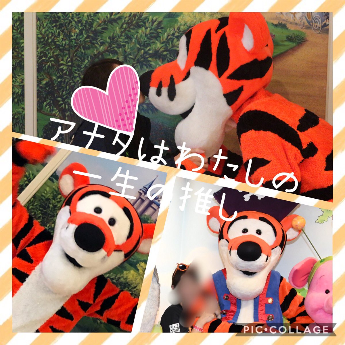 Yuka エントリーの攻略法って存在するの Yuka Tigger1 Twitter