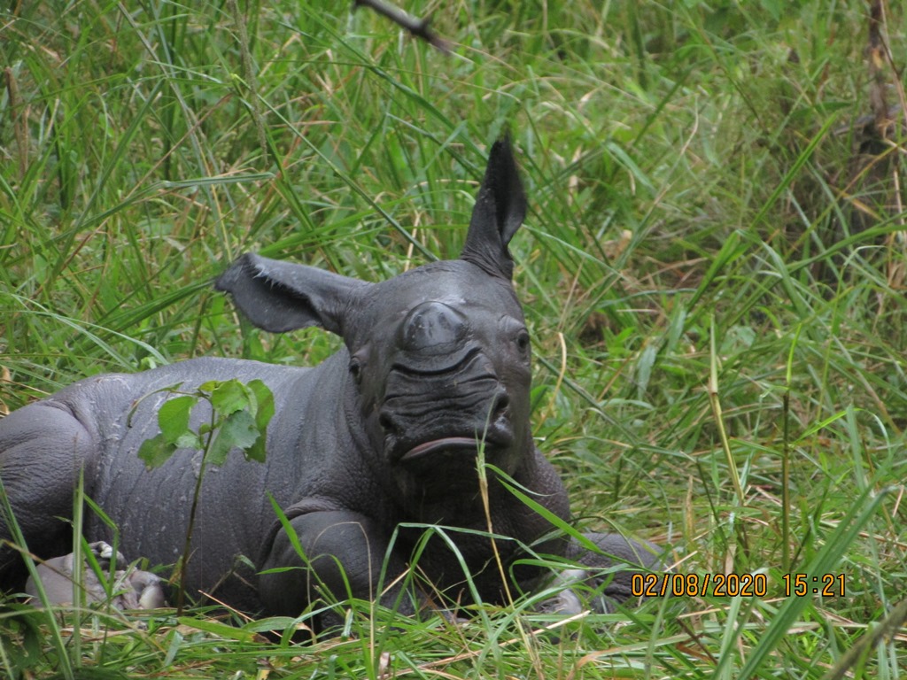 Rhino Fund Uganda tweet media