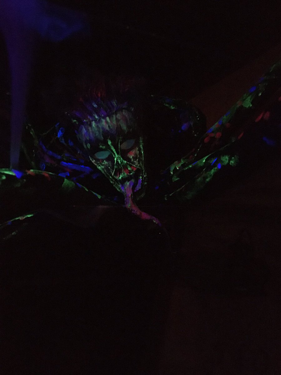 VerdeJewel's tweet photo. 16 Ft spider lady, one picture in the process, the first picture finished. Sorry it was dark, I had her in a web above my driveway. https://t.co/9lVLwDD2Bg